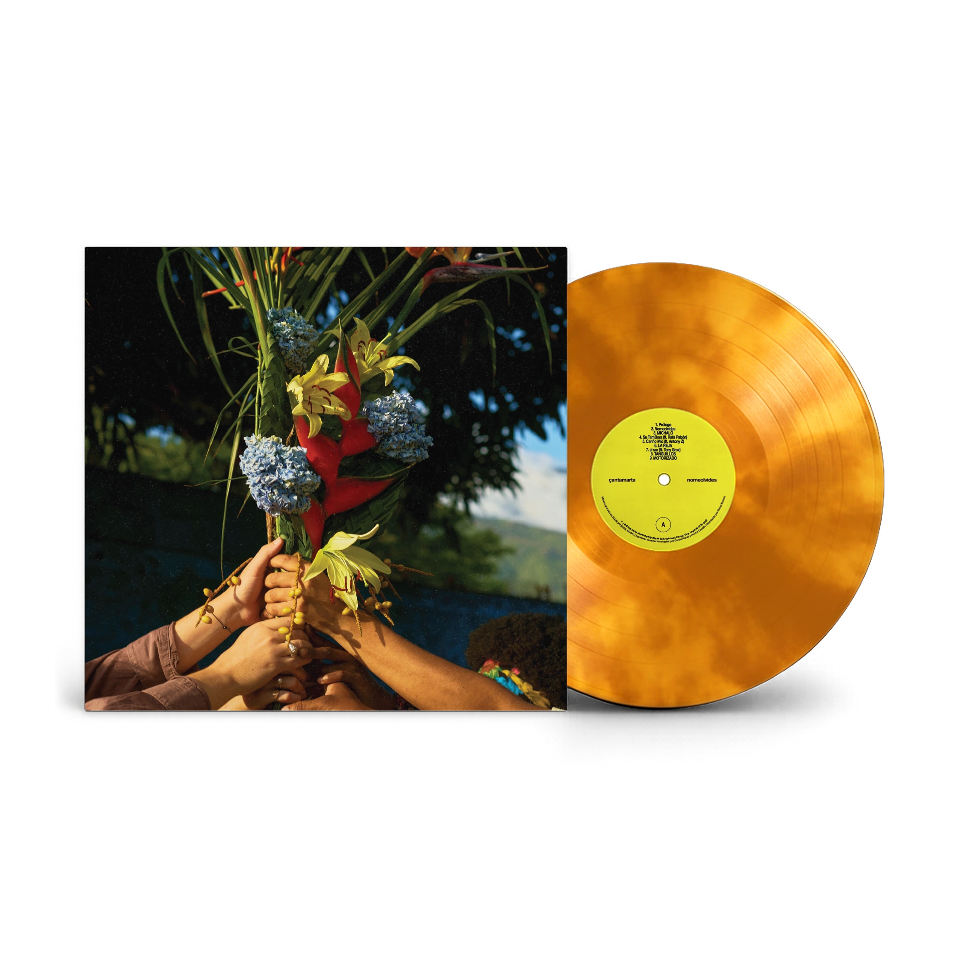 Vinilo "nomeolvides + PASARELA" (latam)